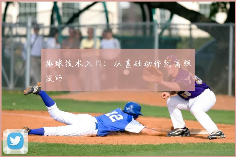 排球技术入门：从基础动作到高级技巧