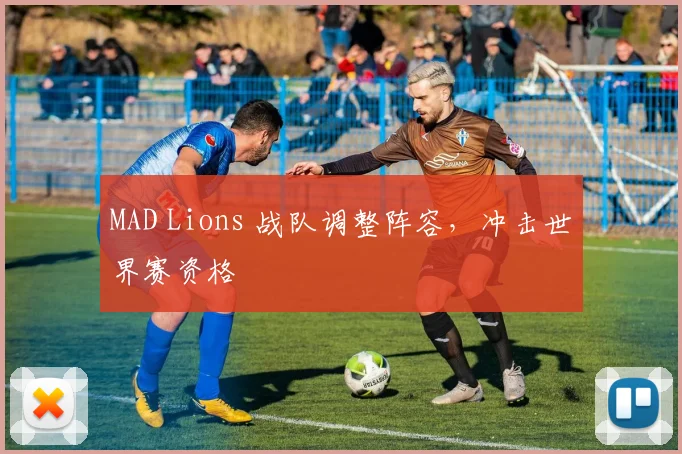 MAD Lions 战队调整阵容，冲击世界赛资格